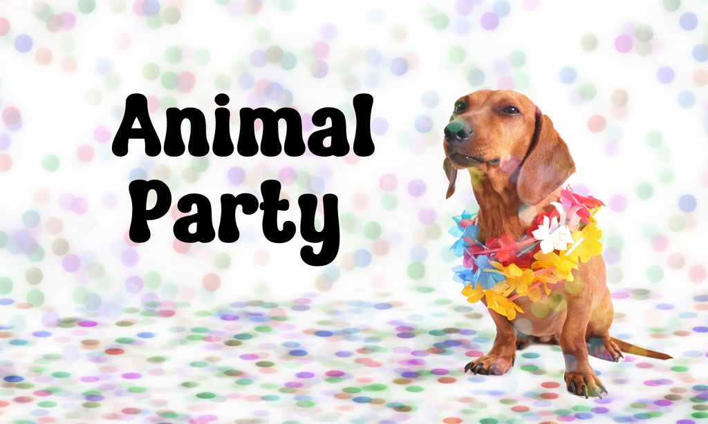 Animal Party